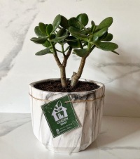 Məhəmməd Rüstəmov